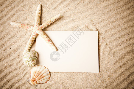 带贝壳的夏季纸函 写作 笔记 备忘录 外骨骼 信 文档图片