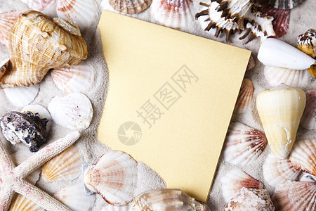 假日发来的信息 装饰风格 邮政 海 外骨骼 夏天 贝壳 纸图片