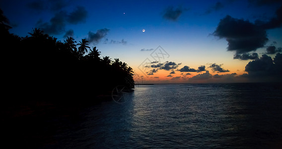 马尔代夫日落 加勒比 戏剧性 温暖的 棕榈树 叶子 浪漫图片