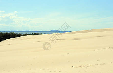 沙丘 波兰 海岸 自然 热的 太阳 娱乐 风景图片