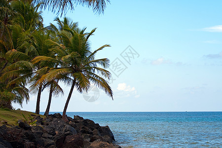 波多黎各Luquiillo海滩 宁静 海岸线 加勒比图片