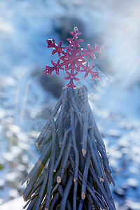 雪天的圣诞红星 派对 庆祝 假期 树 闪光 冬天图片