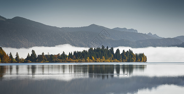 华列 假期 反射 旅行 早晨 斯山 树木 山脉 美丽的图片