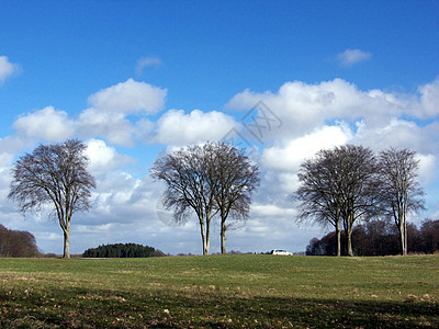 树树景观 农村 假期 自然 国家 风景 蓝色的 天空图片