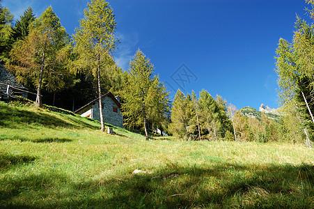 夏季高山村地貌图片