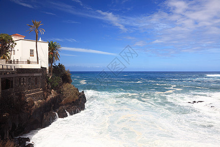 Tenerife - 克鲁斯港图片