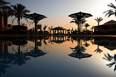 早上游泳池 埃及胡哈达 酒店 热带 天堂 日出 反射图片