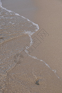 沙滩上的泡沫 支撑 海 干净的 白色的 自然图片