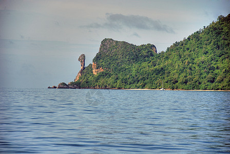 鸡岛 2007年 澳大利亚 自然 鱼 加州 海景 亚洲图片