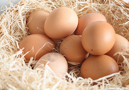 鸡蛋在篮子里 白色的 食物 动物蛋 早餐 蛋壳图片