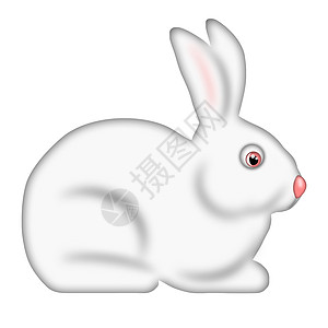 白复活节兔子边视图孤立的白色背景图片