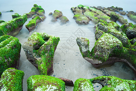 充满绿海草的落岩海滨 海岸线 时间 旅游 风景图片