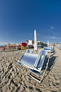 意大利比萨海滩详情 公园 树 热的 托斯卡纳 放松 海洋图片