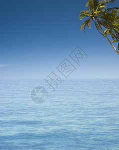 热带热带海滩 夏天 旅行 绿松石 岛 阳光 椰子 海浪图片