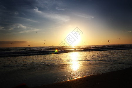 白天海滩日出 夏天 放松 天空 水 早晨图片