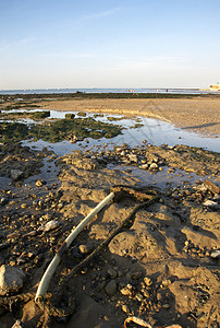 海滩 阳光 场景 海浪 海洋 浪潮 潮汐 海藻 海滨图片