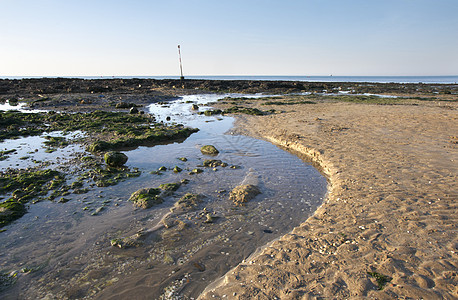 海岸线 自然 海景 岩石 水 海藻 潮汐 波浪 英国图片