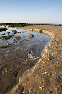 海滩 户外 海洋 海藻 海滨 浪潮 宁静 沿海 场景图片