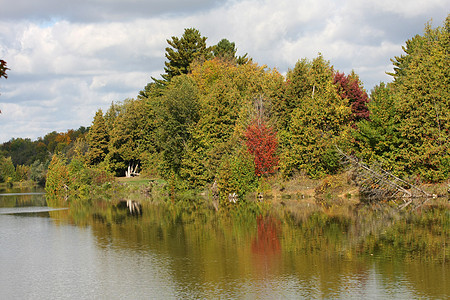 湖上的瀑布颜色 季节 河 公园 宁静 森林 海岸图片