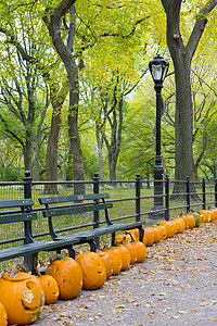 美国纽约市秋季中央公园 纽约市图片