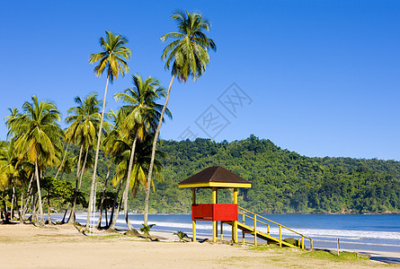 特立尼达马拉卡斯湾 加勒比地区 寂静 海景 小屋 海湾 海岸图片