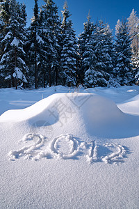 雪中的 2012 年图片