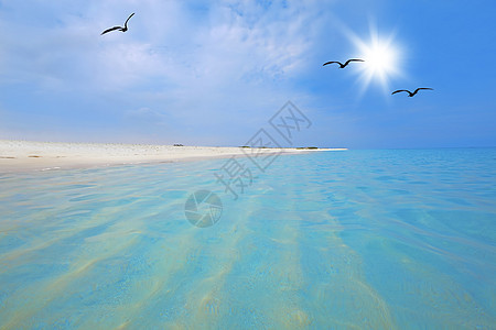 博卡格兰迪海滩 水 荷属安的列斯群岛 热的 太阳 风景 浪漫的 海洋图片