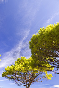 夏天在科西嘉上空的天空 湖 云 水 女孩 荒野图片