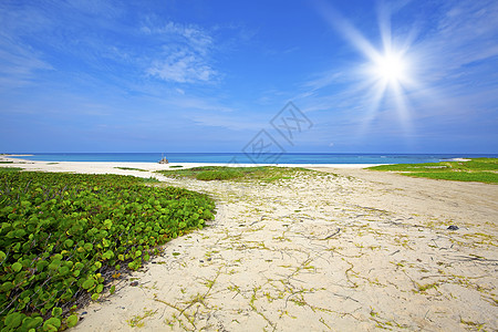 博卡格兰迪海滩 浪漫的 地平线 热的 夏天 自然 晴天 天空图片