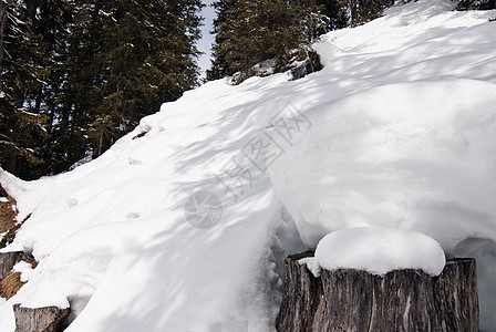 意大利多洛米山脉上的雪 岩石 木头 高山 季节 房子图片