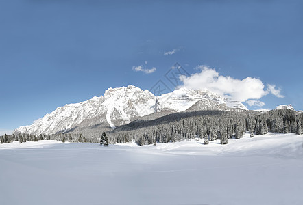 雪景全景 美丽 户外 山脉 树 蓝色的 山 阳光 假期图片