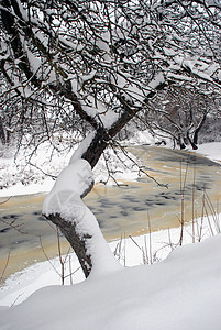 冬季河 精神 森林 雪堆 圣诞节 阿普尔 漂移图片