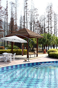 游泳池 泳池边 天堂 天空 棕榈 酒店 海 家图片