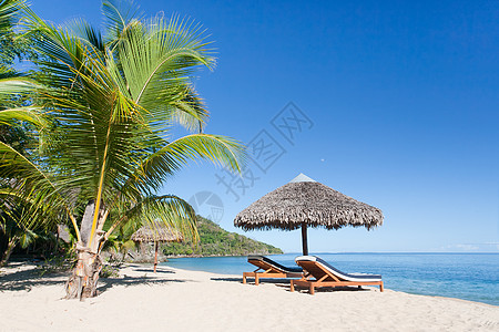 热带热带海滩景观 伞 自然 海岸 放松 椅子 旅游图片