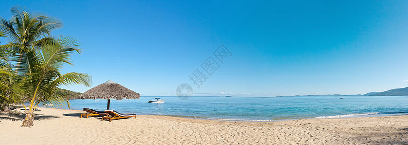 热带热带海滩全景 阳伞 奢华 海洋 椰子 海岸 椅子图片