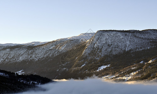 清晨的冬季风景 小路 小屋 故事 松树 农村 老的 霜图片