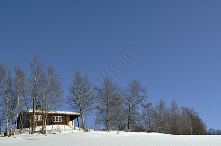 冬季风景中的小屋 森林 房子 冬天 阳光 长的图片