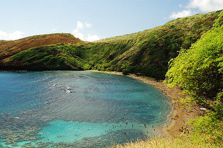 哈努马湾珊瑚礁海滩 夏威夷火奴鲁鲁 冲浪 风景图片