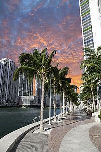 佛罗里达州日落迈阿密海滩 高的 干净的 艺术 阳光图片