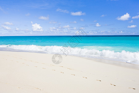 巴巴多斯 加勒比和巴巴多斯福湾 夏天 小安的列斯群岛图片