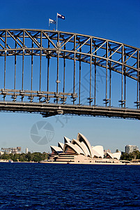 悉尼建筑图示 摩天大楼 水 威尔士 音乐会 建筑物 运输 地平线图片