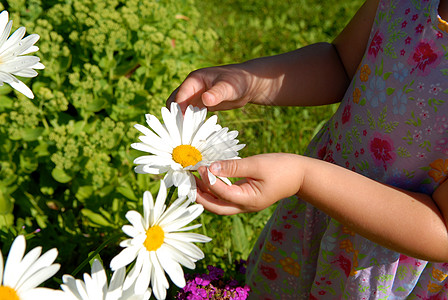 斯堪的纳维亚生活方式-女孩摘花 太阳 假期 夏天图片