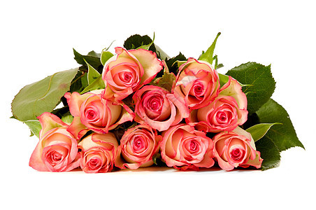 玫瑰花团 情人节 美丽 庆典 花的 红色的 花瓣 美丽的图片