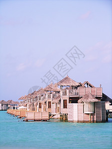 海滨度假胜地 礁 马尔代夫 泻湖 稻草 场景 游泳 旅游图片