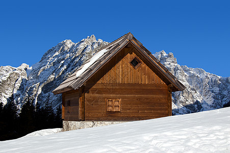 冬季的山丘   意大利阿尔卑斯山图片