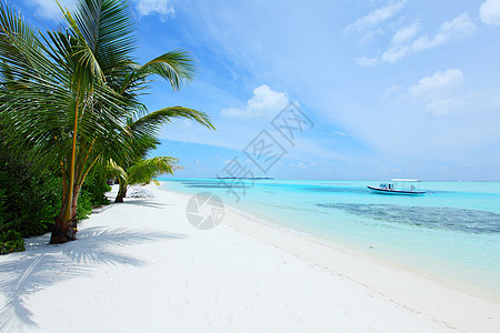 热带热带岛屿 美丽的 地平线 海岸 天空 蓝色的 自然 海滩图片