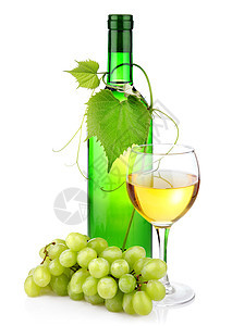 与玻璃和葡萄枝隔绝的瓶装酒 叶子 食物 喝 红酒杯图片