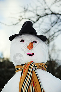 戴帽子的雪人 摄影 圆圈 户外 季节 脸 霜图片