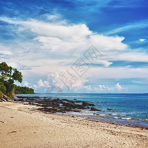 热带热带海滩 阳光 支撑 透明的 放松 亚洲 泰国 假期图片