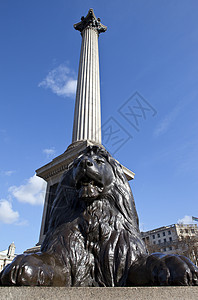 Trafalgar广场的Nelson专栏和狮子雕像图片